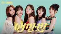 SPC 배스킨라빈스, 새 브랜드 모델로 르세라핌 발탁