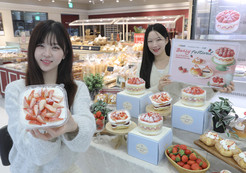 딸기 축제 시작한 유통가…제품 출시 및 프로모션 활발