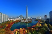 2023년도 단풍은 언제... 올해 단풍지도 나왔다!