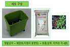동대문구, ‘내 집안 작은 농장’ 상자텃밭 보급 시작