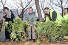 나무 한 그루, 추억 한 조각…영등포구, 나무심기 행사 개최