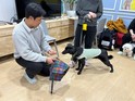노원구, 반려동물문화센터 '힐링하시개 댕댕하우스' 운영