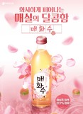 하이트진로 ‘매화수’, 누적 판매 1억4000만병 돌파