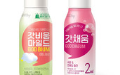 대표이미지