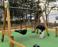 용산구, 어린이놀이시설 및 취약가구 안전점검 실시