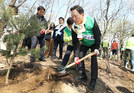 강남구, 식목일 맞아 매봉산에 8000그루 나무 심어