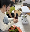 “반려식물 기르며 행복 채워요”  중구, 독거어르신 100명에게 스마트 화분 지원