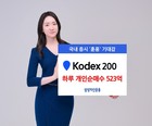 국내 증시로 눈 돌리는 개미...KODEX 200 하루 개인 순매수 500억원 돌파
