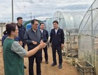 농협중앙회 지준섭 부회장, 집중호우 피해 현장 예산·당진 방문