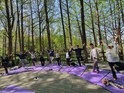 “태아와 함께 숲에서 소풍해요”  금천구, 2025년 하반기 숲태교 프로그램 참여자 모집