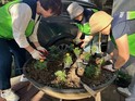 서대문구 홍제3동, 마을 곳곳 가을꽃 심기·클린데이 행사 추진