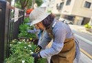 “주민들과 가꾸는 은평의 일상 속 구석구석 정원” 은평구, 서울시 정원도시상 2년 연속 수상
