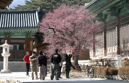 [날씨] 설날 아침 쌀쌀… 오후에는 기온 올라