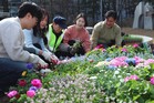 정원도시 성동구, 왕십리 광장 봄꽃화단 조성