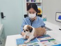 중구, 취약계층 반려동물 의료비 '최대 40만원' 지원