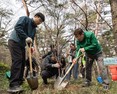 광진구, 식목일 기념 나무 심기 행사 개최… 탄소 중립 실천 앞장
